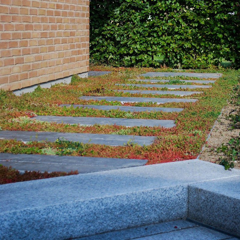 Kongsberg trædesten