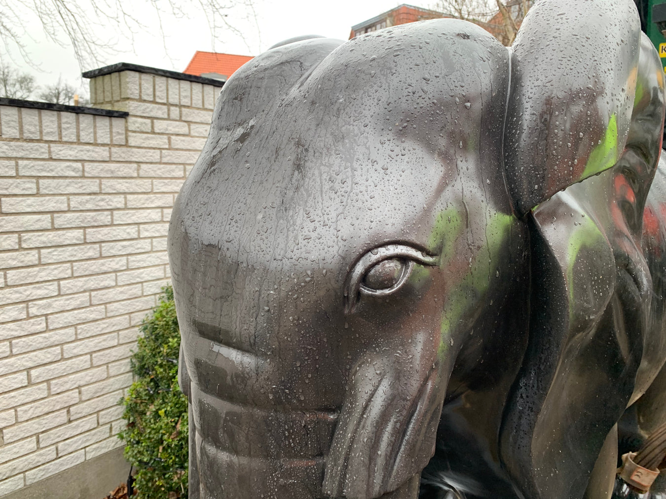 Special element elefant figur closeup
